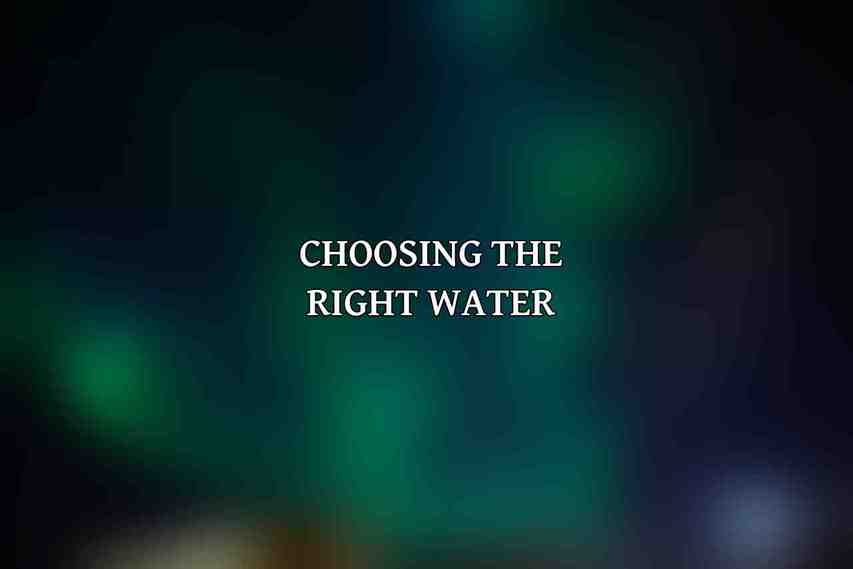 Choosing the Right Water