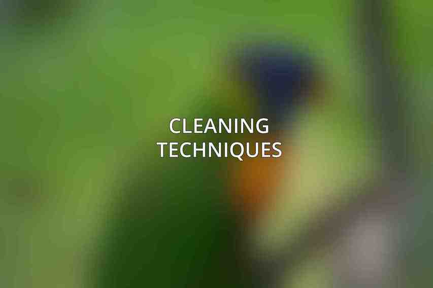 Cleaning Techniques