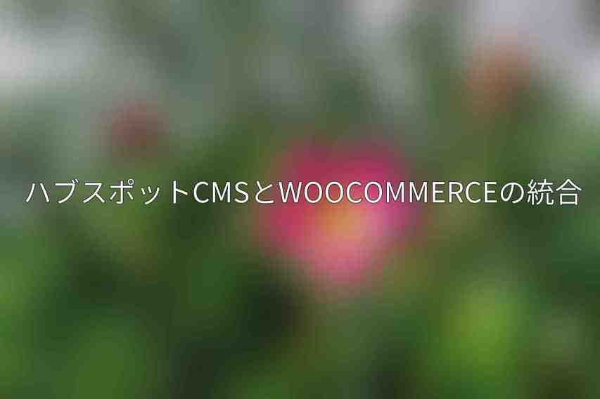 ハブスポットCMSとWooCommerceの統合