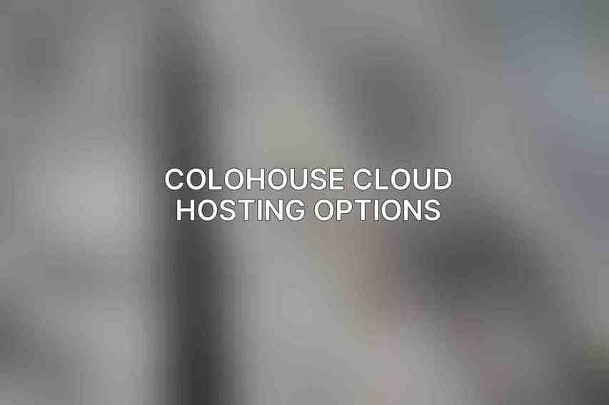 Colohouse Cloud Hosting Options