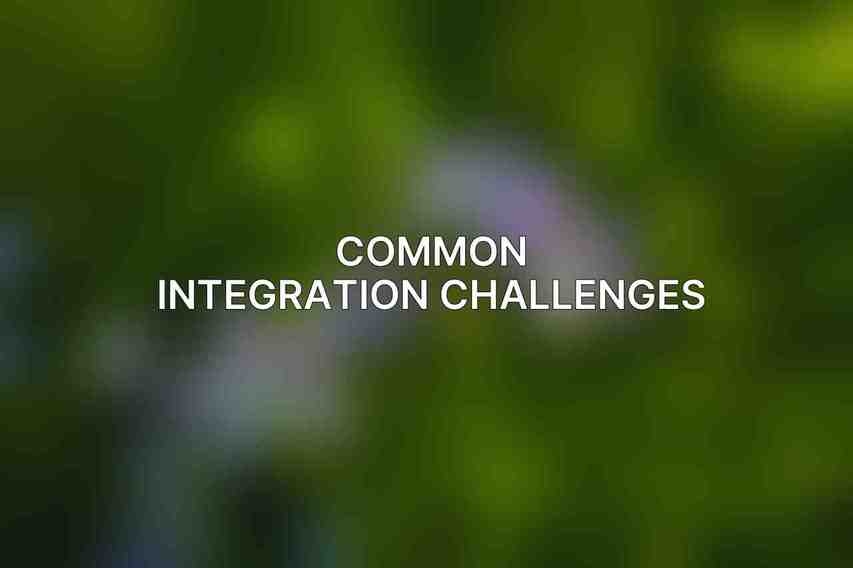 Common Integration Challenges