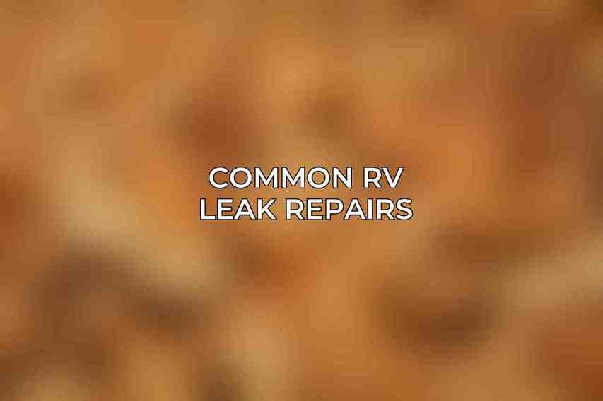 Common RV Leak Repairs
