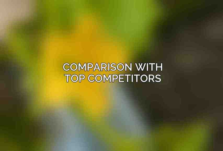 Comparison with Top Competitors