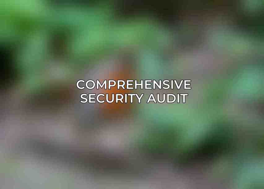 Comprehensive Security Audit