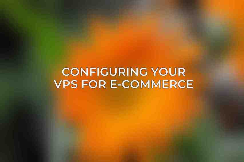 Configuring Your VPS for E-Commerce