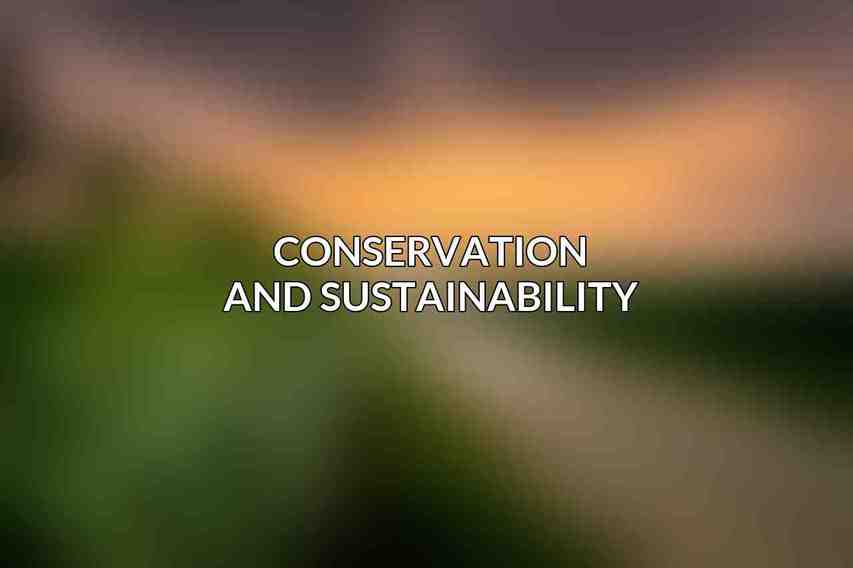 Conservation and Sustainability