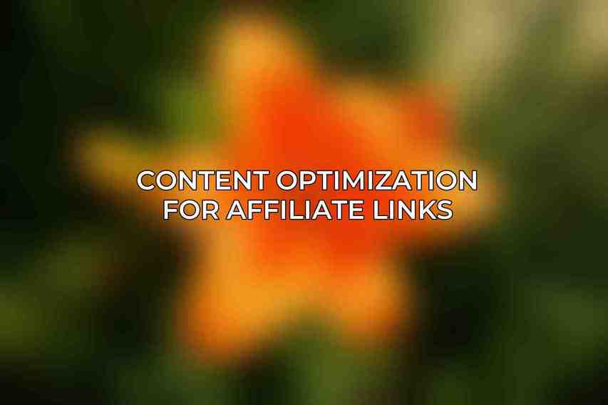 Content Optimization for Affiliate Links