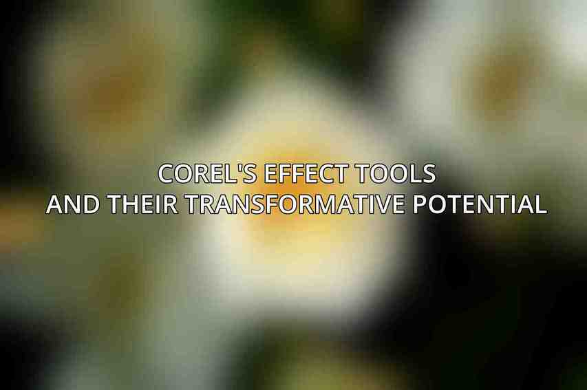 Corel's Effect Tools and Their Transformative Potential