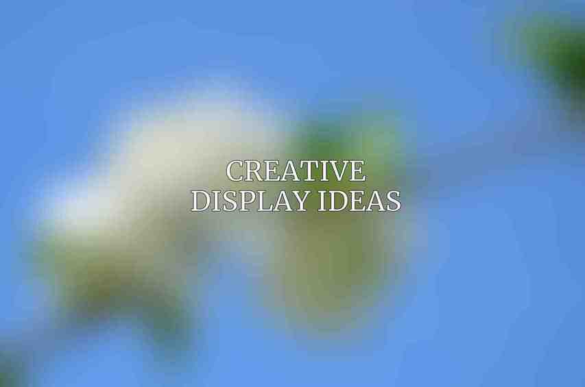 Creative Display Ideas