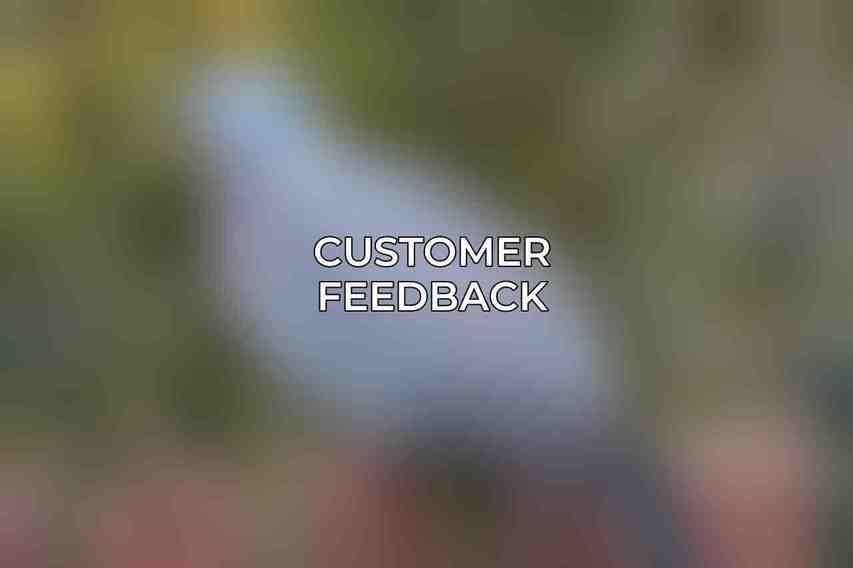 Customer Feedback
