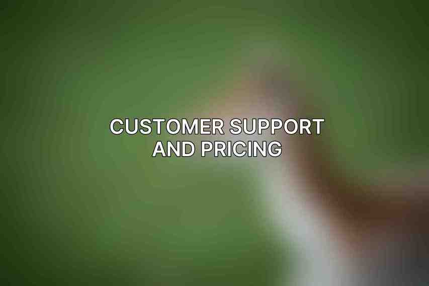 Customer Support and Pricing