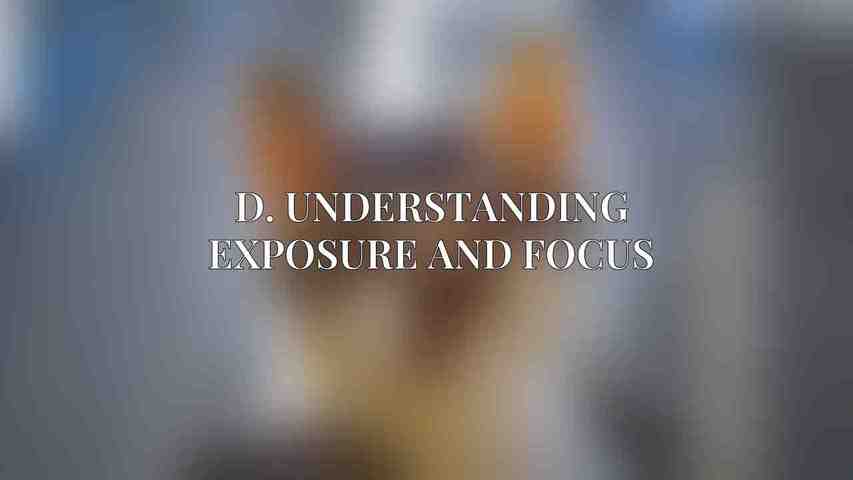 D. Understanding Exposure and Focus