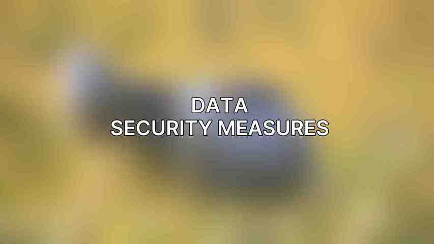 Data Security Measures