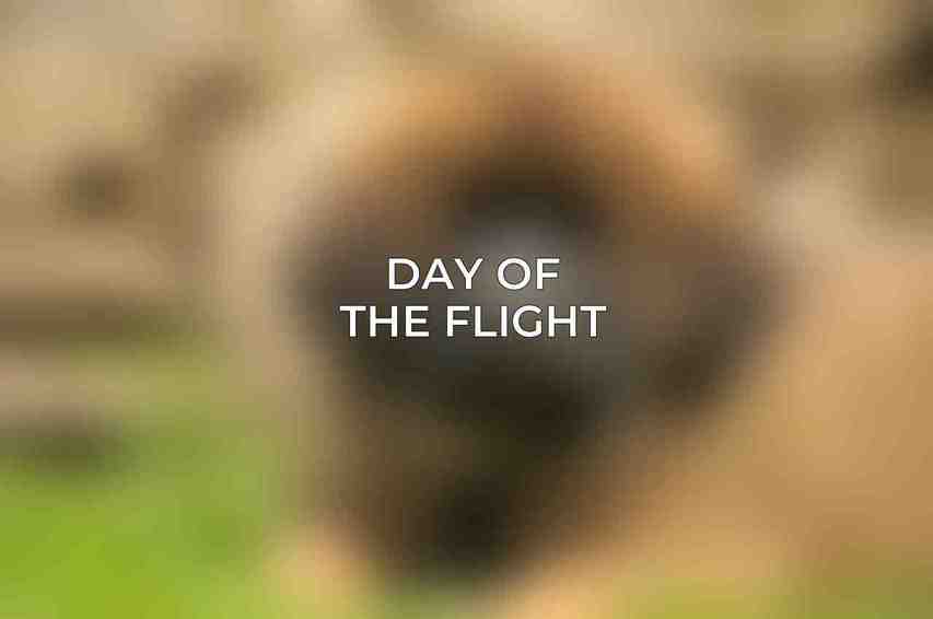 Day of the Flight