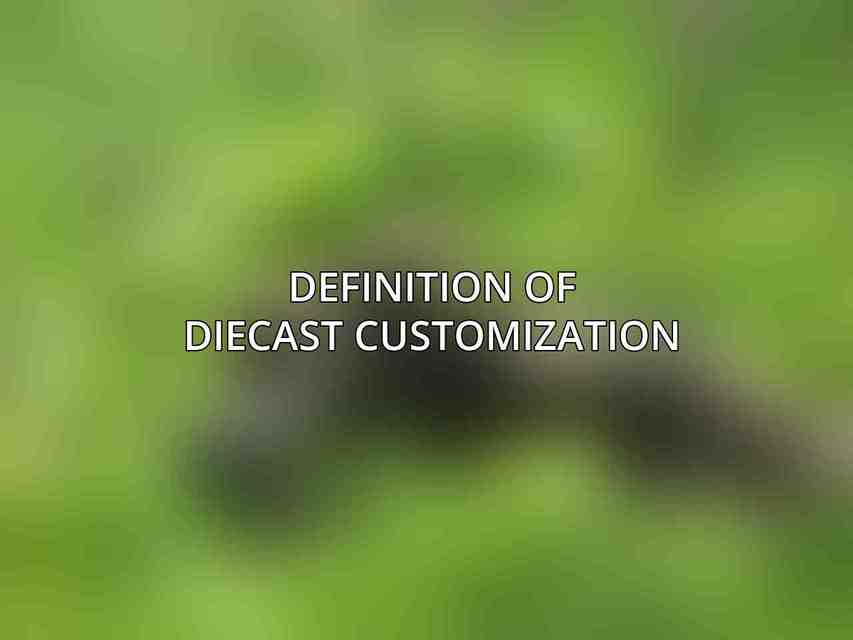 Definition of Diecast Customization