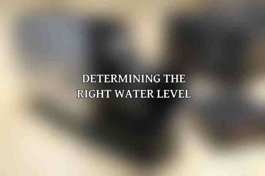 Determining the Right Water Level