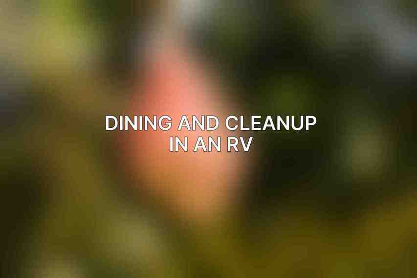 Dining and Cleanup in an RV