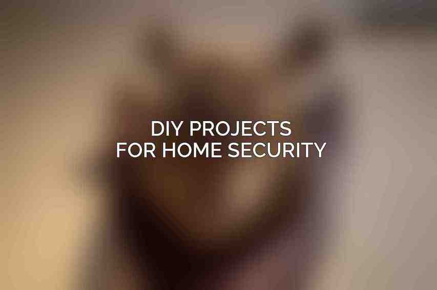 DIY Projects for Home Security