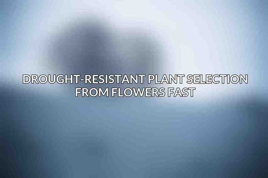 Drought-Resistant Plant Selection from Flowers Fast