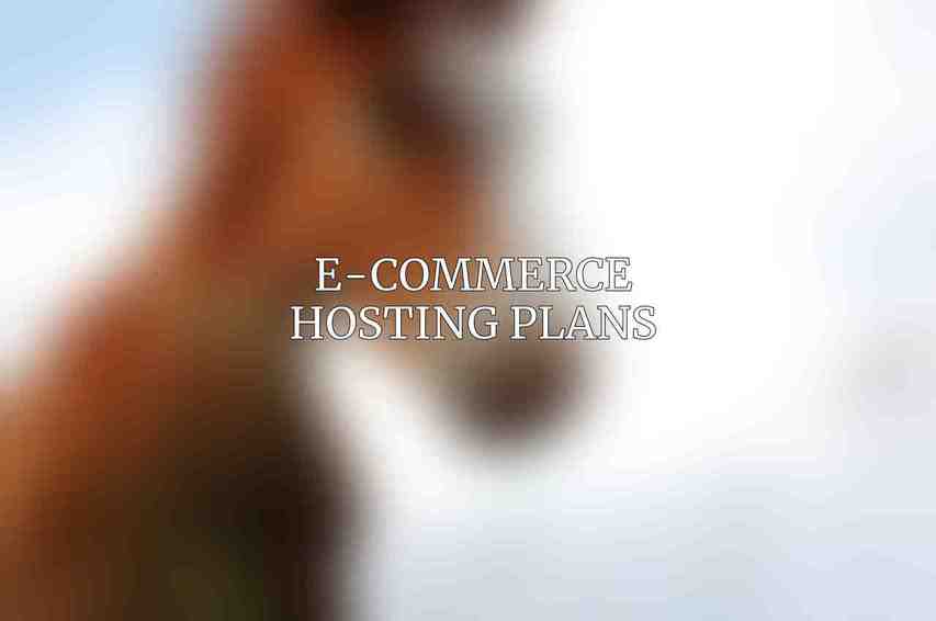 E-Commerce Hosting Plans