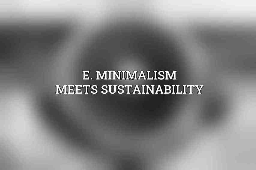E. Minimalism Meets Sustainability