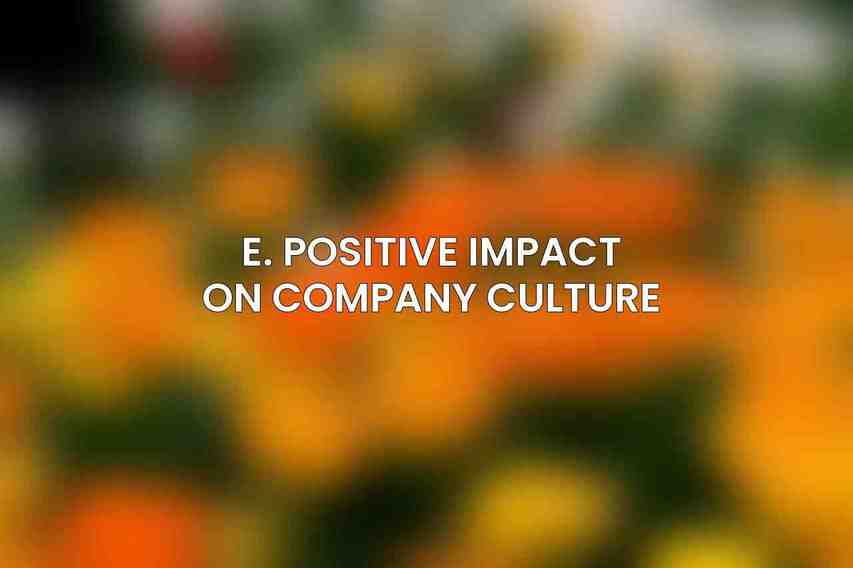 E. Positive Impact on Company Culture