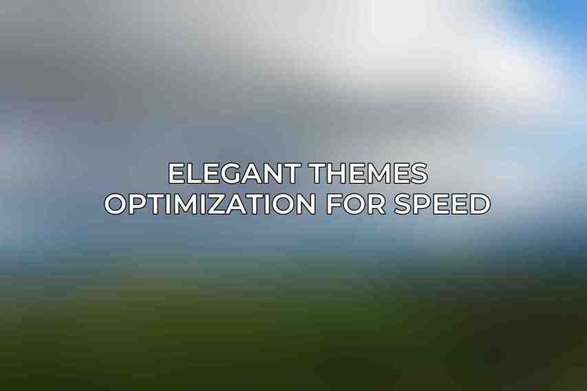 Elegant Themes Optimization for Speed