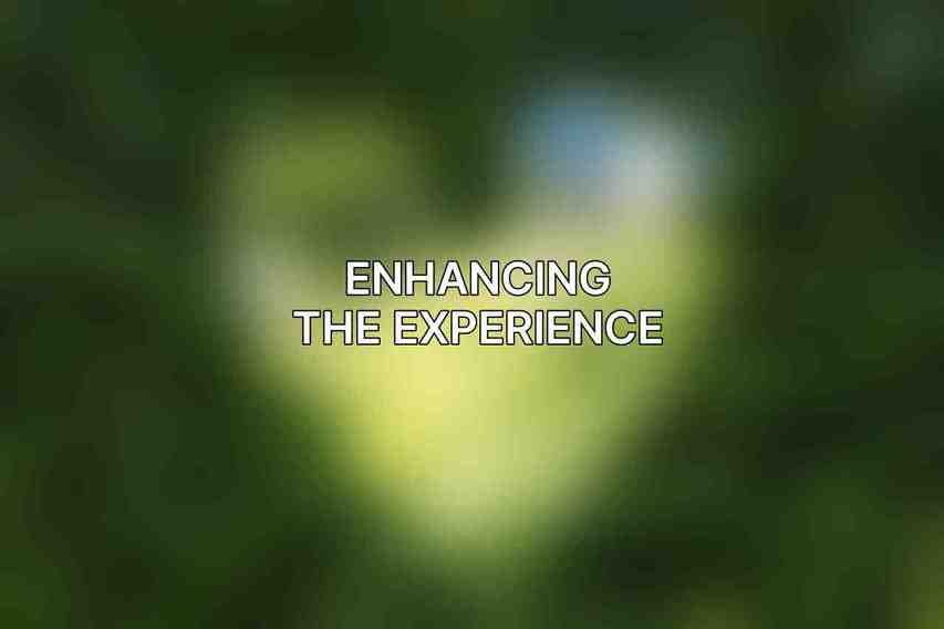 Enhancing the Experience