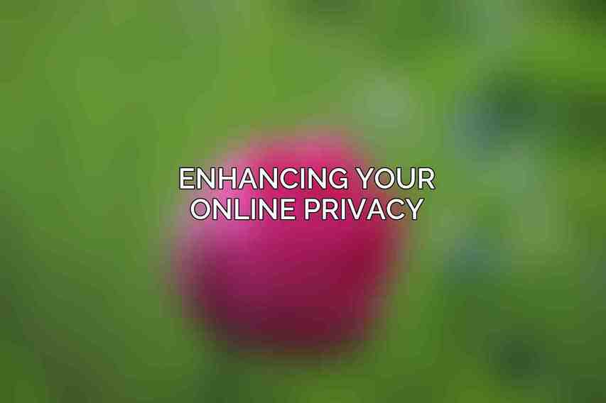 Enhancing Your Online Privacy