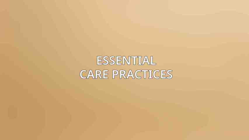 Essential Care Practices