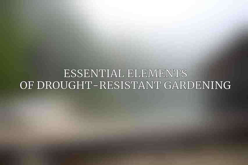 Essential Elements of Drought-Resistant Gardening