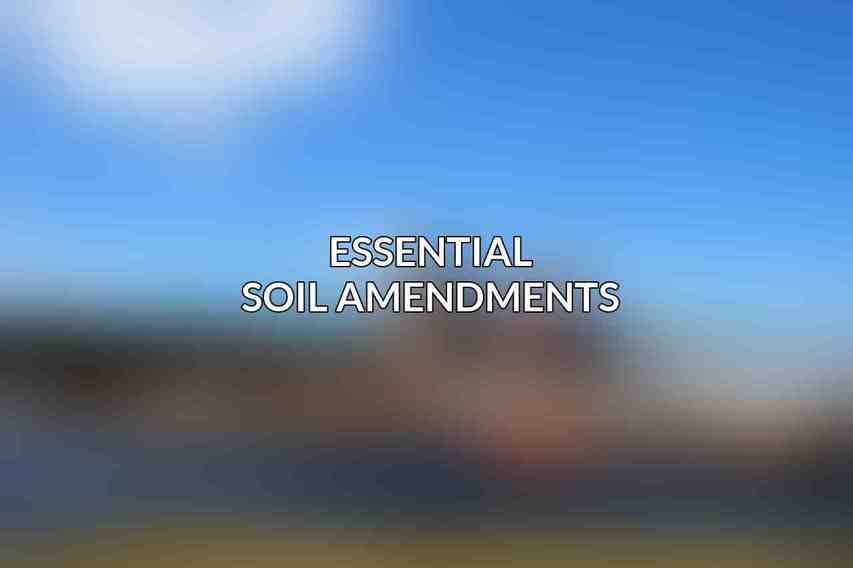 Essential Soil Amendments