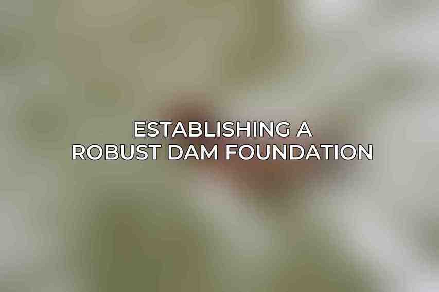 Establishing a Robust DAM Foundation
