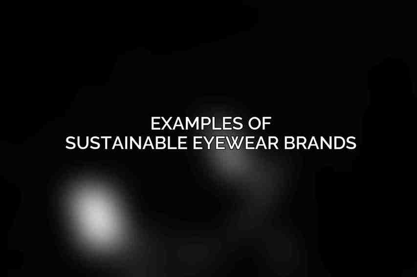 Examples of Sustainable Eyewear Brands