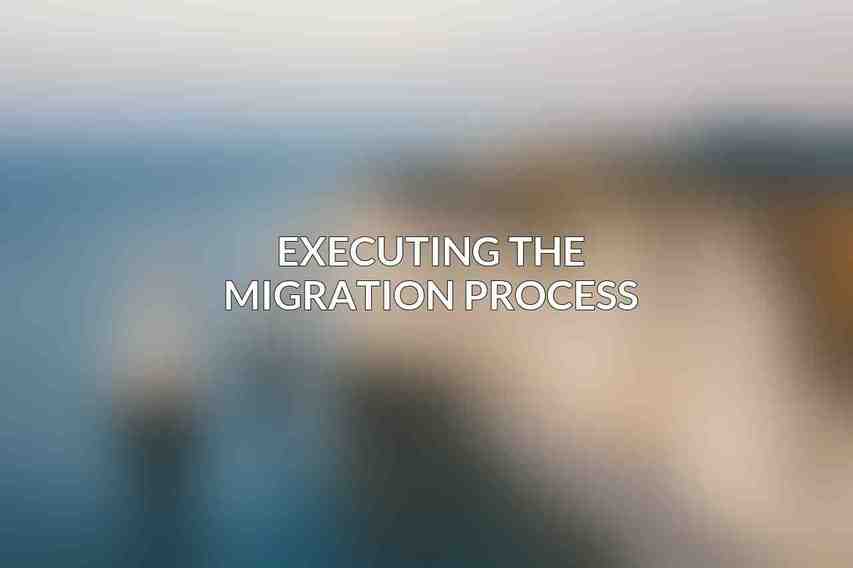 Executing the Migration Process