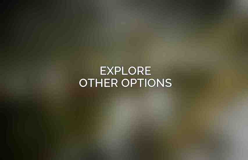Explore Other Options