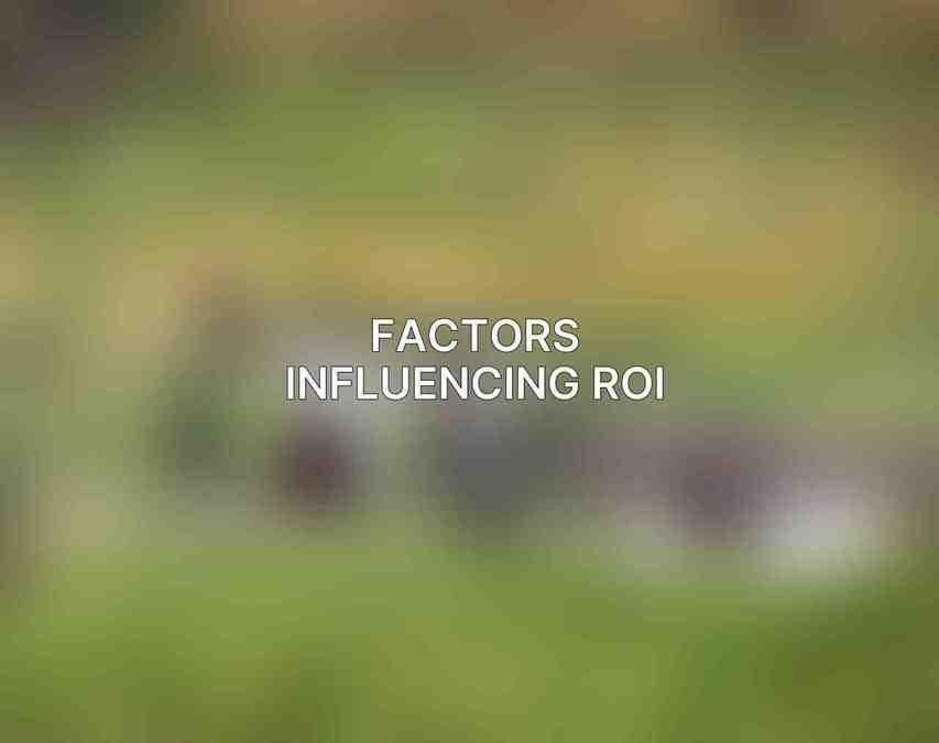 Factors Influencing ROI