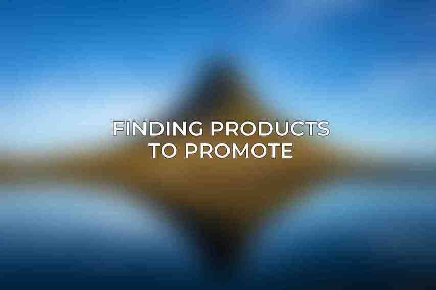 Finding Products to Promote