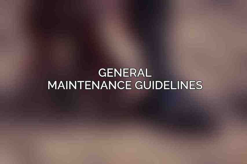 General Maintenance Guidelines
