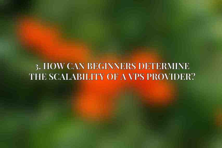 3. How can beginners determine the scalability of a VPS provider?