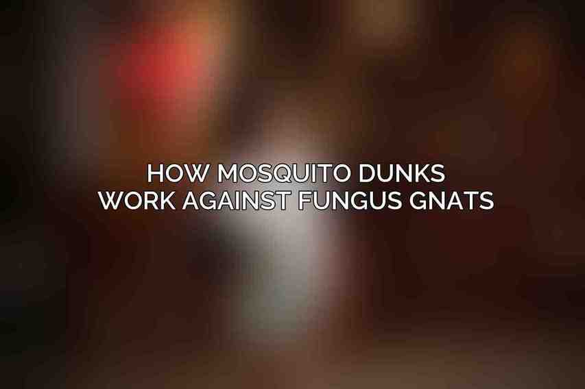 How Mosquito Dunks Work Against Fungus Gnats