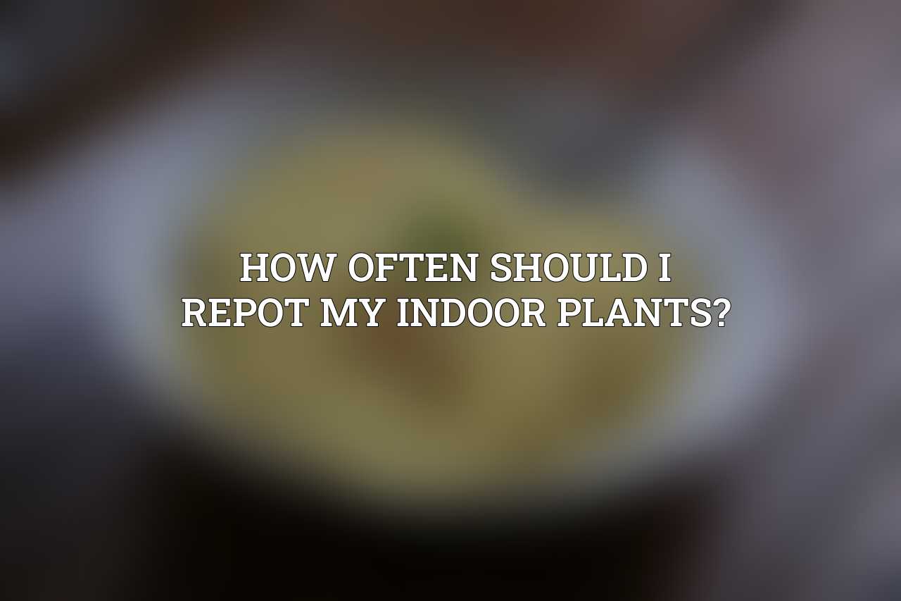 How often should I repot my indoor plants?