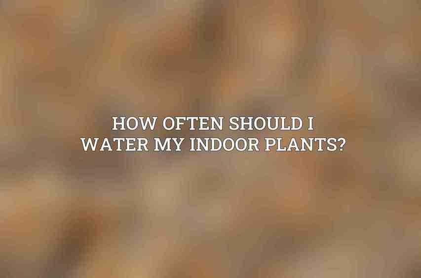 How often should I water my indoor plants?