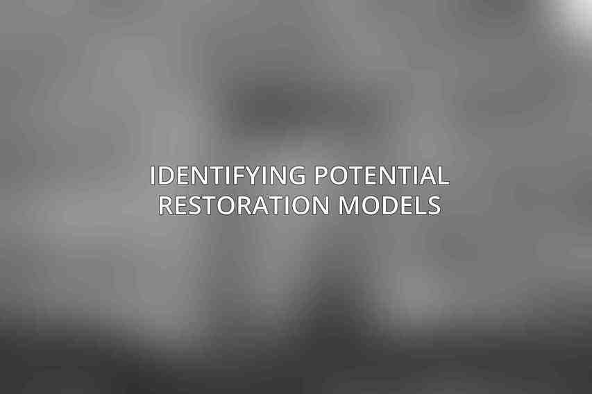 Identifying Potential Restoration Models