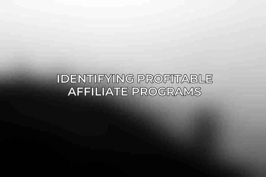 Identifying Profitable Affiliate Programs