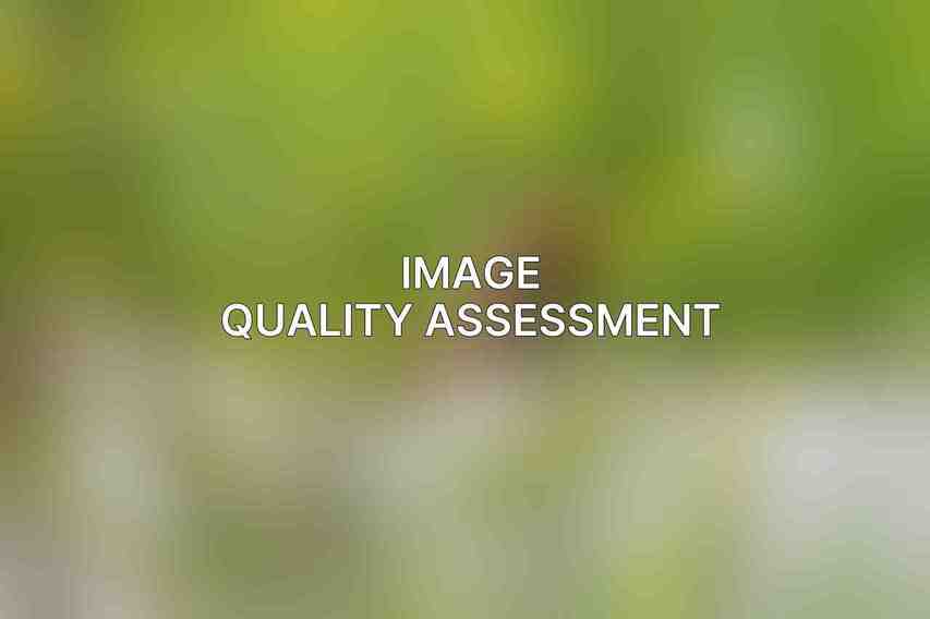 Image Quality Assessment