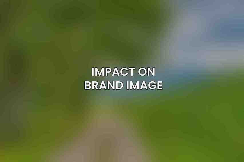 Impact on Brand Image