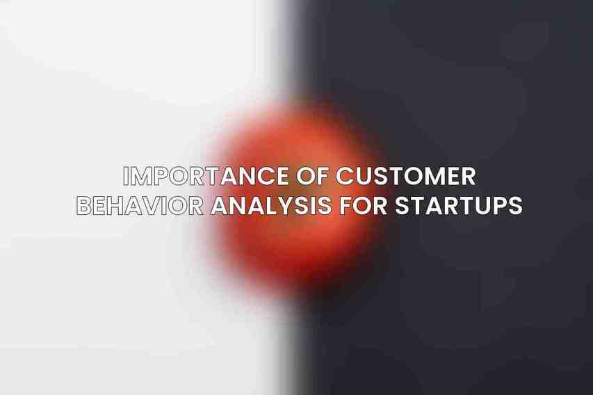 Importance of Customer Behavior Analysis for Startups