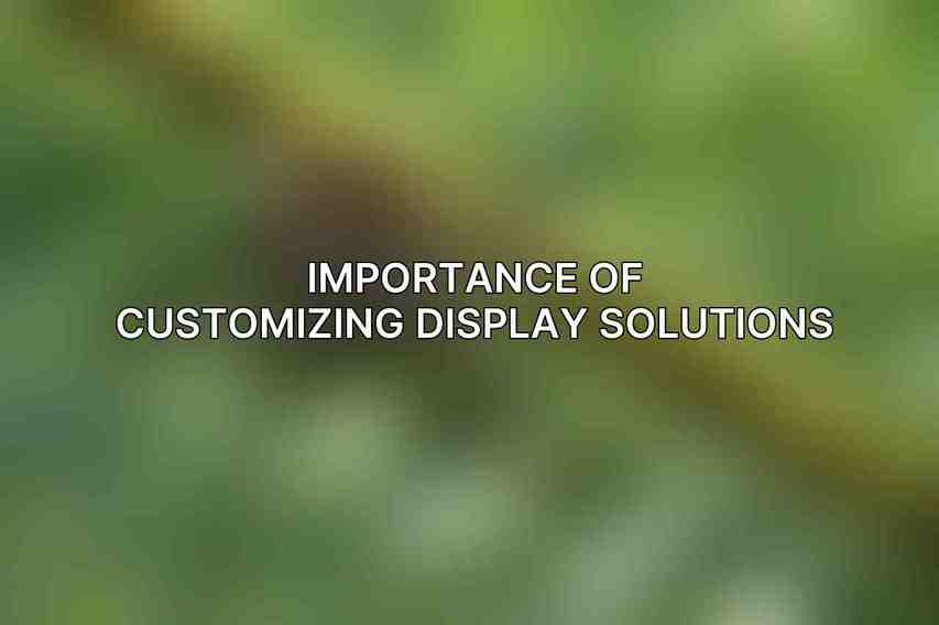Importance of Customizing Display Solutions