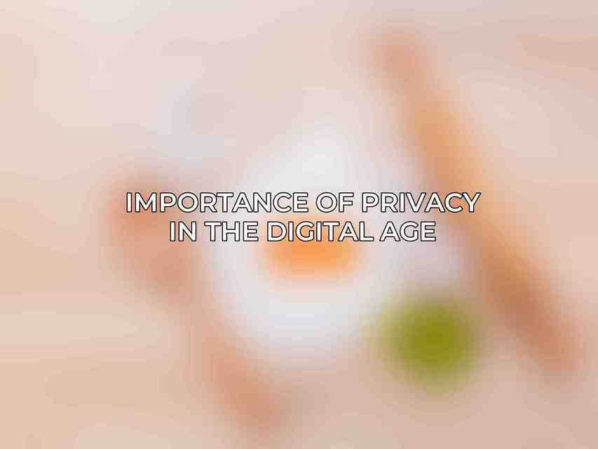 Importance of Privacy in the Digital Age